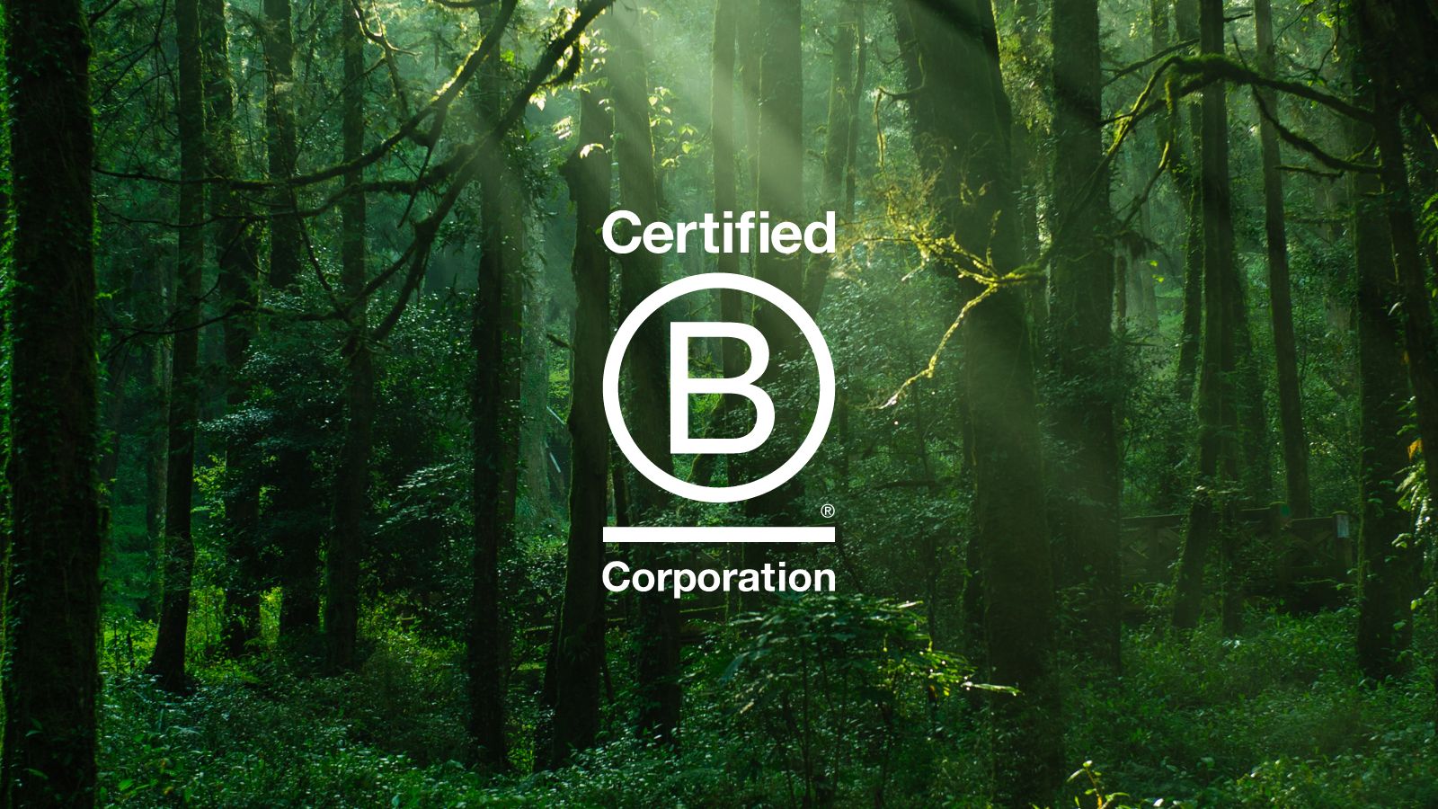 We’re officially B Corp Certified!