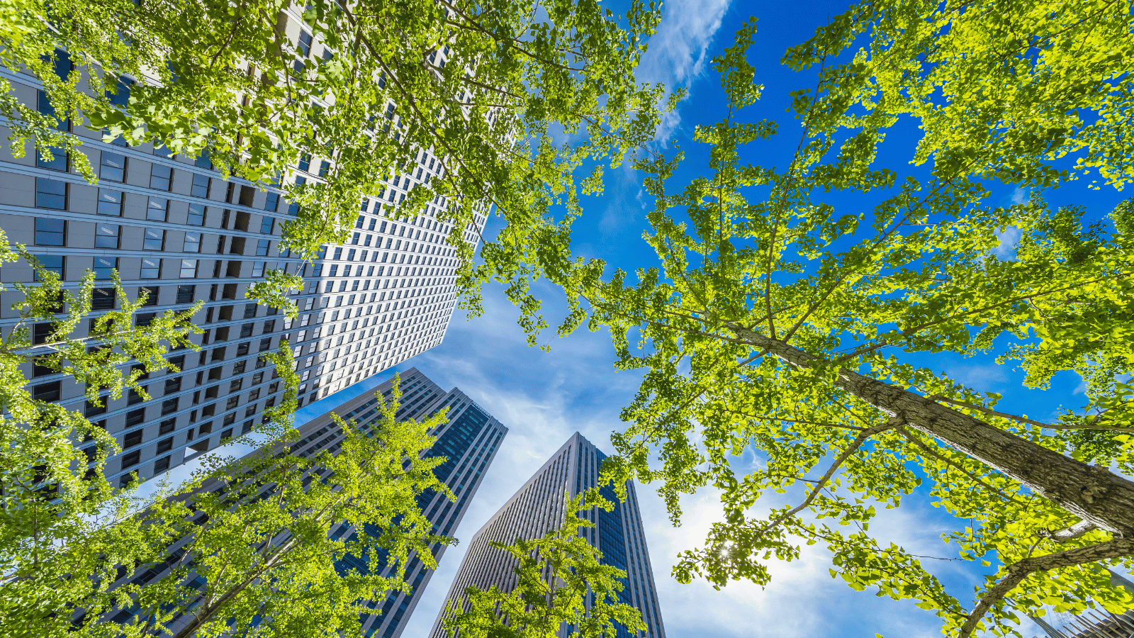 Does the Finance Function Need a Talent Upgrade?