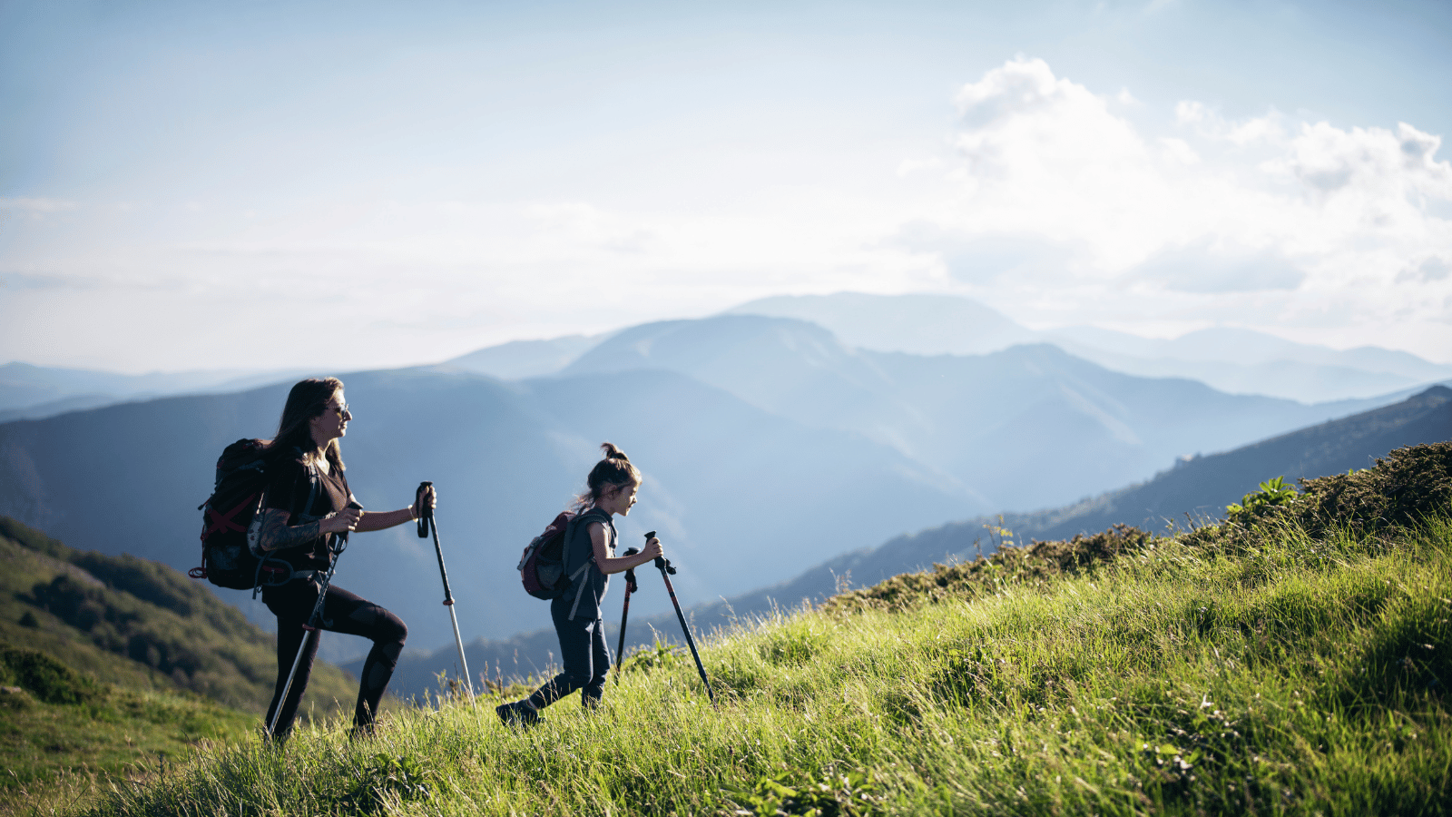 UK to become sustainable finance capital of the world – Is your team ready?