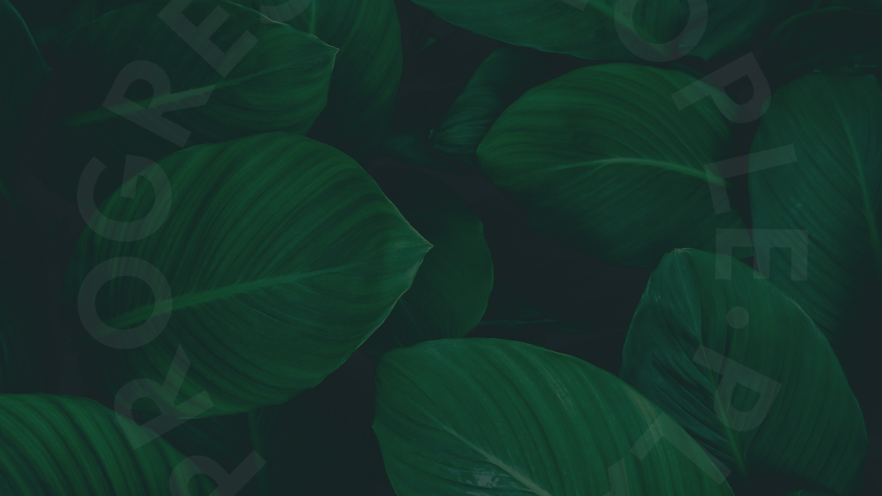 Inside the Mind of a PE Growth Investor – Edwin Davies – The Conscious Finance Podcast